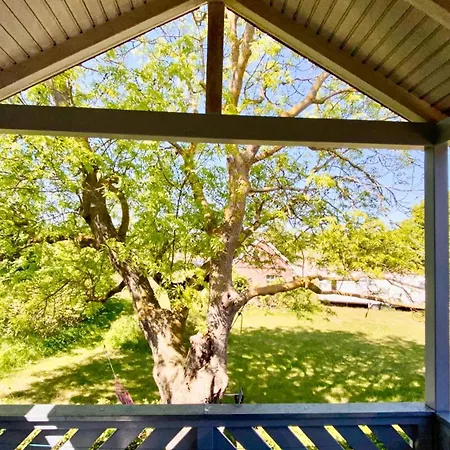 Gemütliche In Hafennähe - Fewos Am Hochzeitsberg 16 Breege